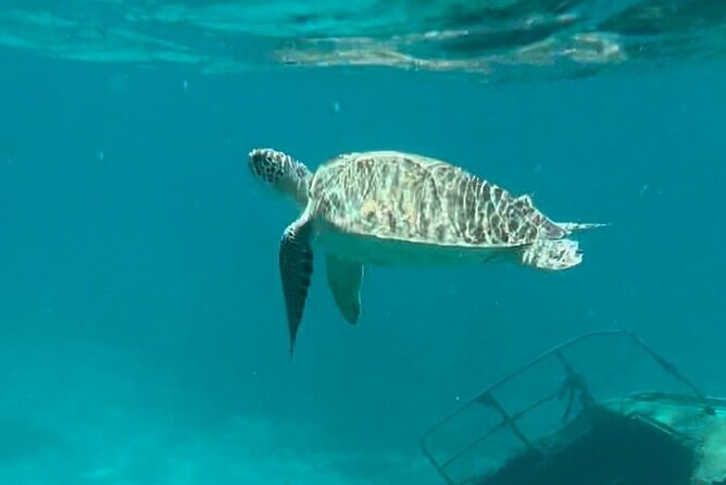 St Thomas - Jeep Tour Customized Itinerary 5hrs - Beach Hopping and Snorkeling Time: More Than Just a Stop