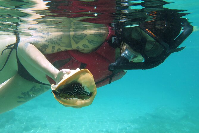 St Thomas Kayak and Sea Turtle Snorkel Excursion - Emerald Beach Resort to the kayak launch: the flow that matters