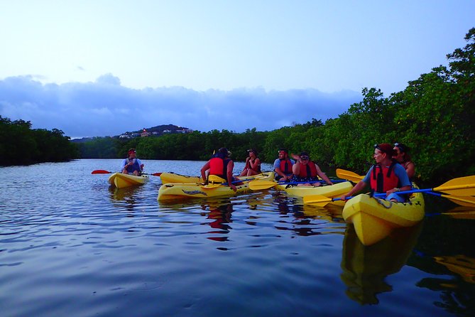 St Thomas Night Kayak Tour - Key highlights you’ll care about