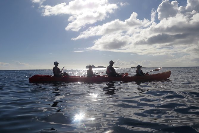 St Thomas Sea Turtle Snorkel Kayak Adventure Tour - Snorkeling with sea turtles: calm bay, patient pacing, guide in the water