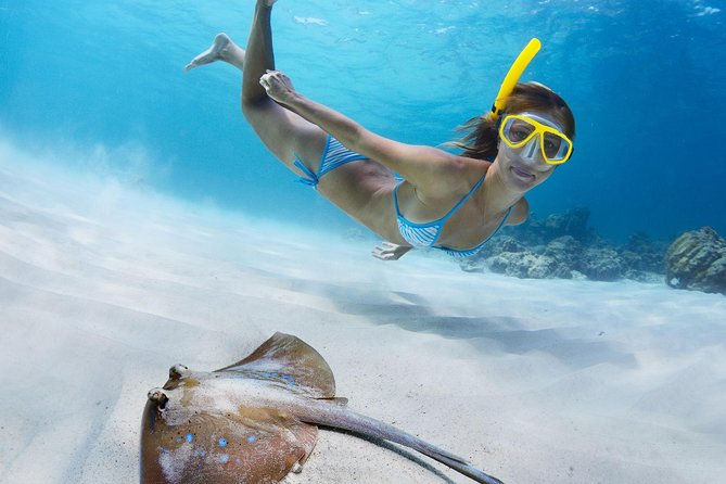 St Thomas~St John Snorkel, Swim & Beach Trip on MV Island Flyer - Your Boat: MV Island Flyer and Why It Feels Less Crowded