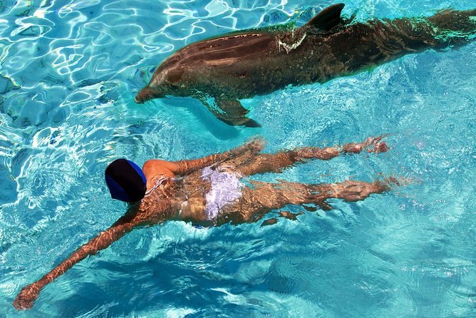 St Thomas~St John Snorkel, Swim & Beach Trip on MV Island Flyer - Price and Value: What You’re Getting for $135