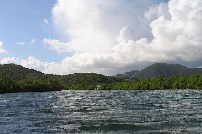 Stand Up Paddleboard Rental in St Thomas - Who this fits best (and who should rethink)