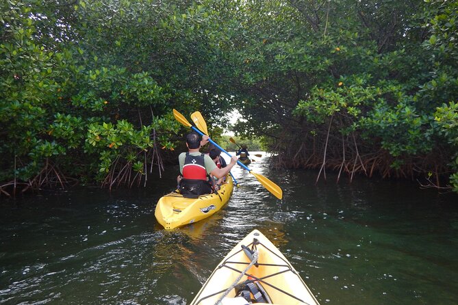Sunset Kayak Tour in the Mangrove Lagoon, St Thomas - Key points to know before you go