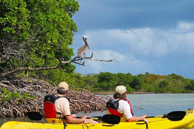 Sunset Kayak Tour in the Mangrove Lagoon, St Thomas - Gear and safety on sit-on-top kayaks with life jackets