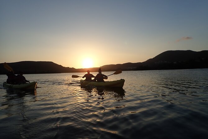 Sunset Kayak Tour in the Mangrove Lagoon, St Thomas - The guide makes it: what to expect from Perez, Swish, Freddie, and Zack