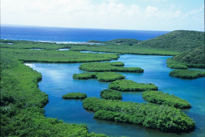 Sunset Kayak Tour in the Mangrove Lagoon, St Thomas - Price and value: what $59 covers and what to add