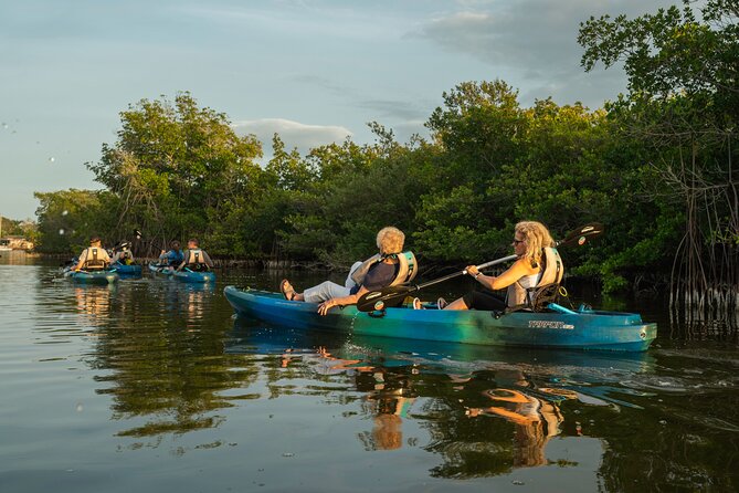 Sunset Kayak Tour in the Mangrove Lagoon, St Thomas - Mangrove Lagoon channels: Wildlife Sanctuary paddling to Bird Island