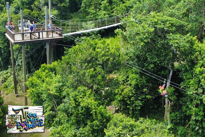 Tree Limin' Extreme Zipline - Fitness, height, and weight rules you can’t ignore