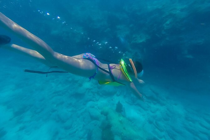 Turtle Snorkel Sail on Buck Island from Frenchman's Reef - Key things that make this trip worth your time