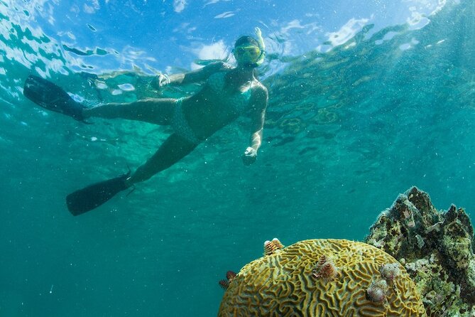 Turtle Snorkel Sail on Buck Island from Frenchman's Reef - The “possible shipwreck” part: why conditions can change everything