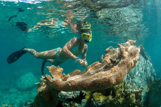 Turtle Snorkel Sail on Buck Island from Frenchman's Reef - Price and value: what $129 buys you in the real world