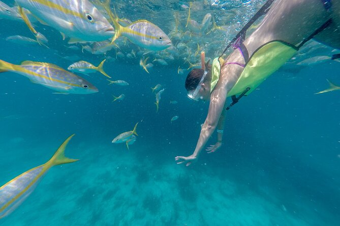 Turtle Snorkel Sail on Buck Island from Frenchman's Reef - Buck Island snorkel: how sea turtles fit into a real schedule
