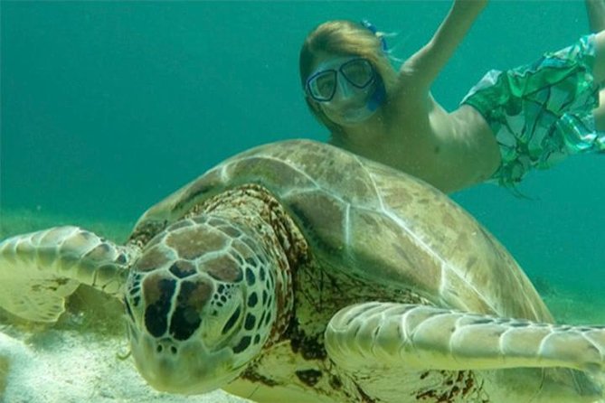 Turtles, Pizza Pi & Sunset trip - Christmas Cove snorkeling and Pizza Pi lunch on a boat