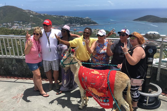 Two-Hour Sightseeing Excursion - Valdemar A. Hill Scenic Overlook and Charlotte Amalie From the Capital Up