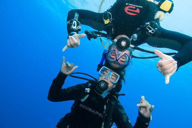 Two-Tank Dive for Certified Diving in St Thomas - St Thomas Underwater Time With Certified-Only Structure