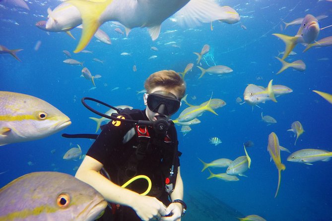 Two-Tank Dive for Certified Diving in St Thomas - Tank 1: About an Hour of Reefs and Shipwreck Scenery
