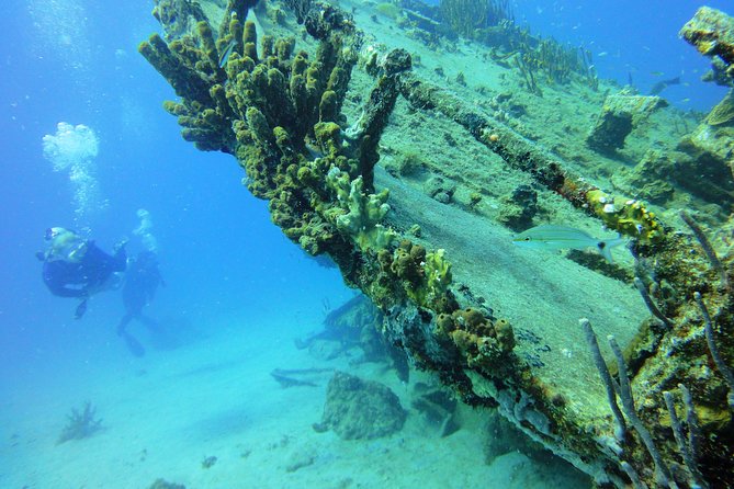 Two-Tank Dive for Certified Diving in St Thomas - Between Tanks: Snacks, Water, Soda, and a Calm Surface Interval