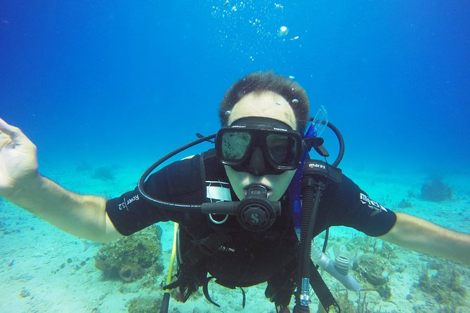 Two-Tank Dive for Certified Diving in St Thomas - Tank 2 Plus Pirate Punch: Adult 18+ Reward on the Return