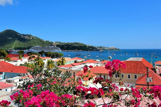 Vi Top Taxi &Tours USVI-St Thomas Private Group-Island Tour - Skyline Lookout and Magens Bay: how to choose your extra ticket stops